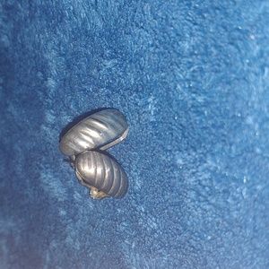 Small silver earrings